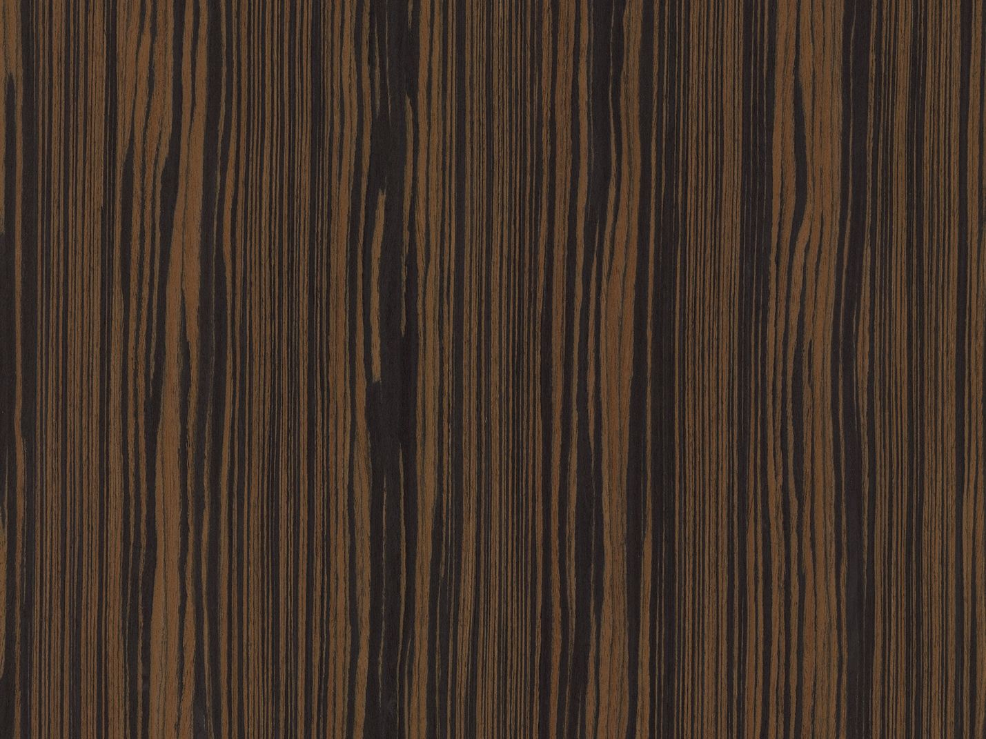 ALPI CELEBES EBONY
