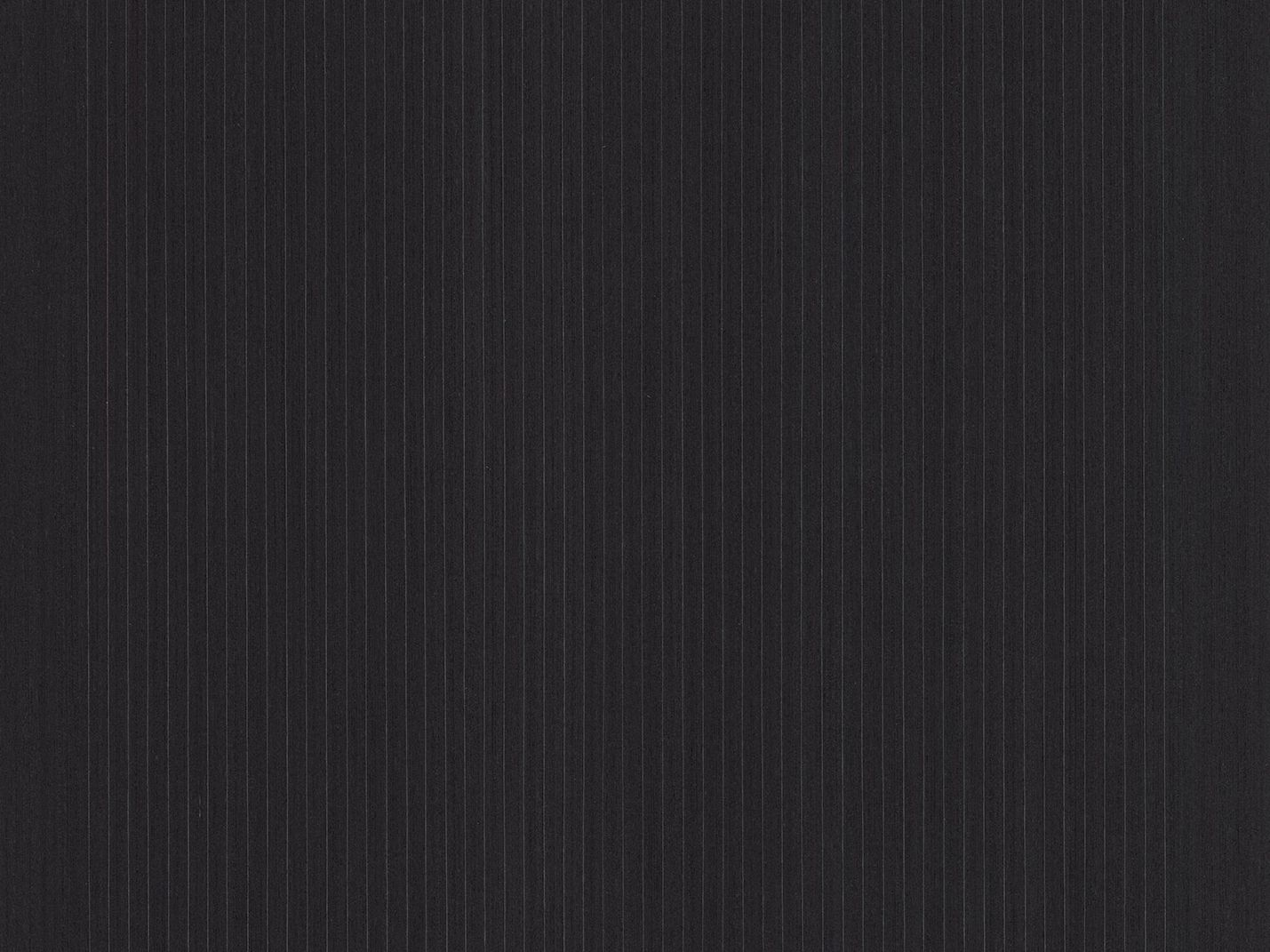 ALPI SILVER RAIL BLACK