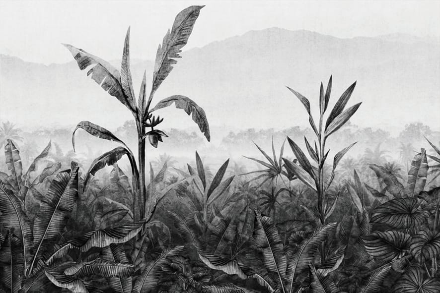 BANANA PLANTATION II