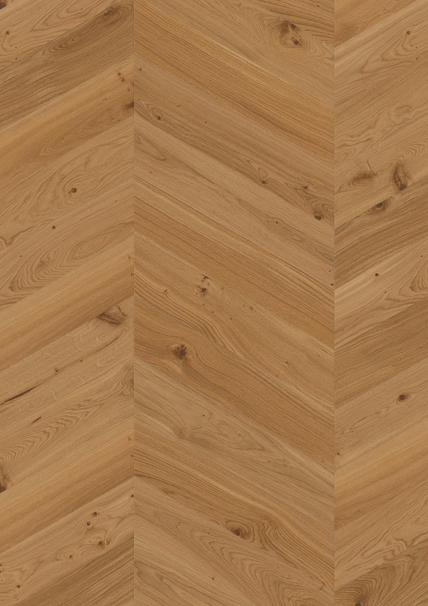 CHEVRON OAK ANIMOSO
