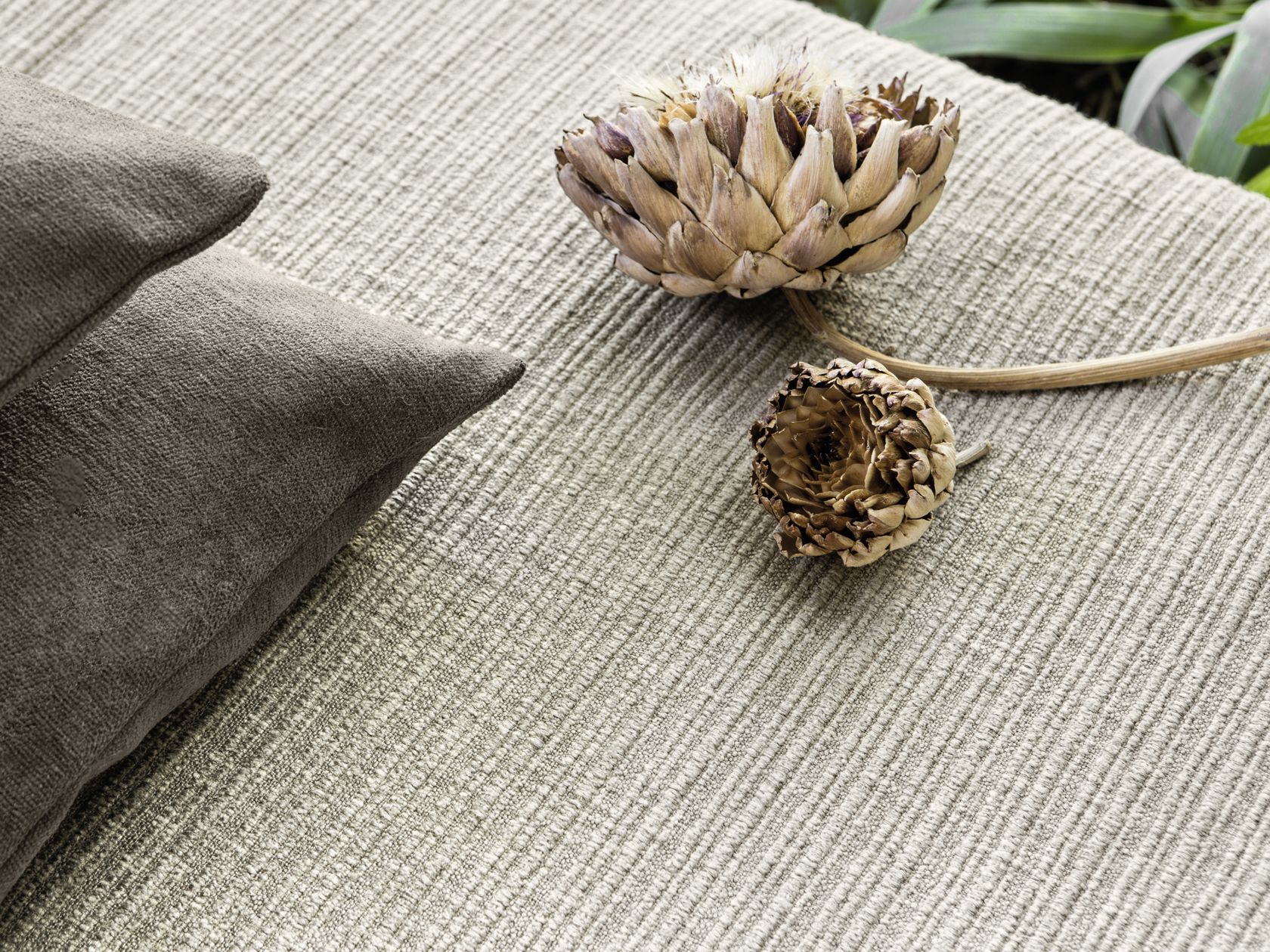 DOLCE LINO - LINS BRUTS