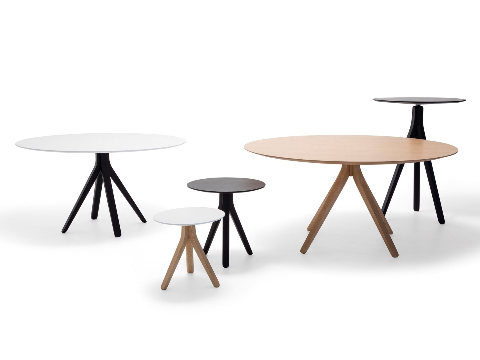 NUEZ ME2873 / ME2880