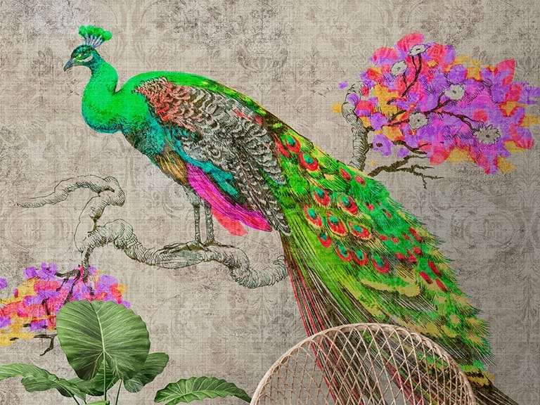 PEACOCK