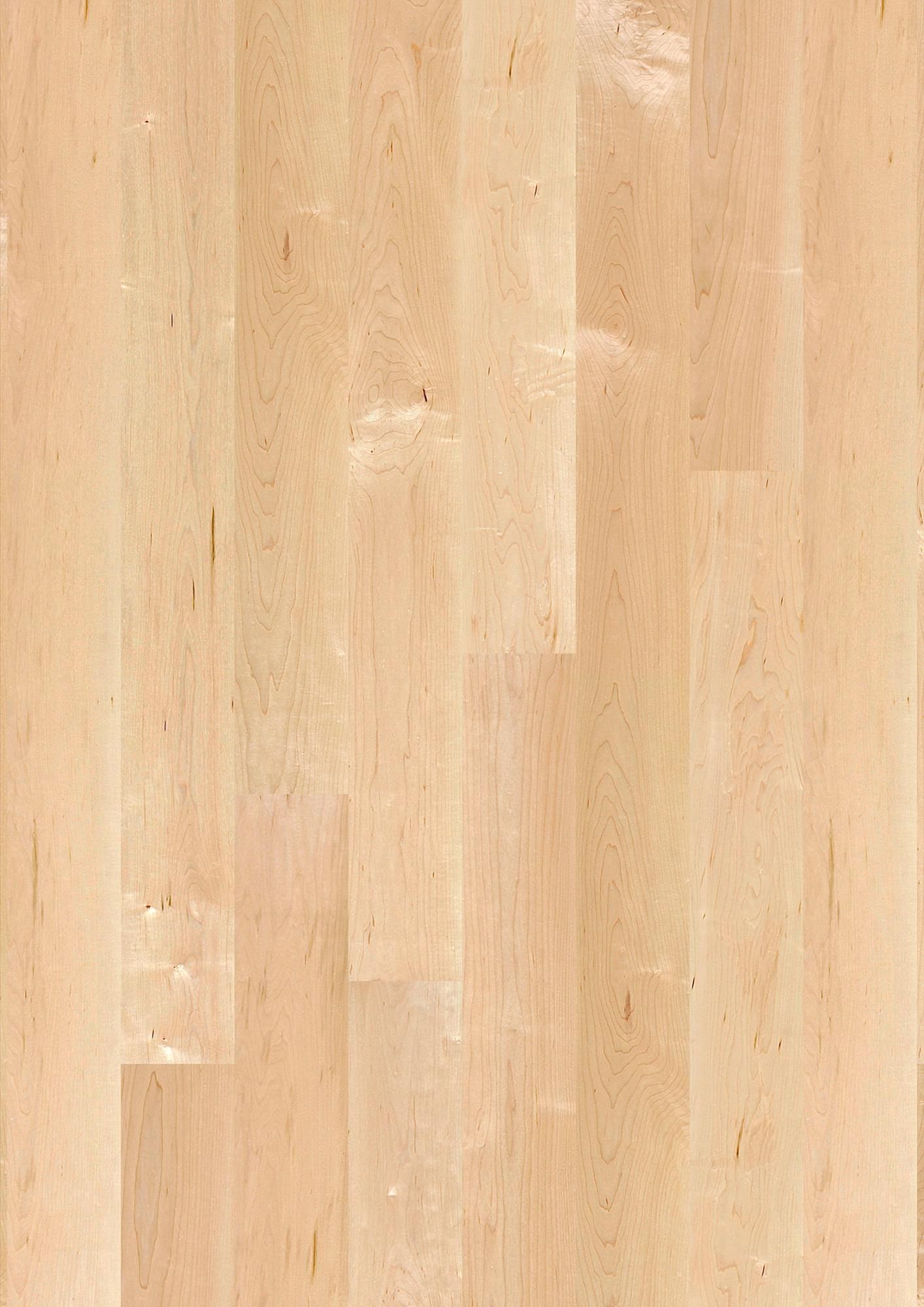 PLANCIA MAPLE CANADIAN ANDANTE