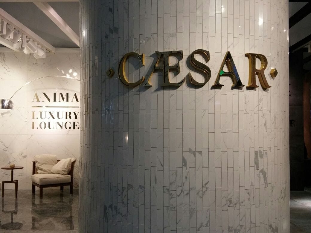 ANIMA STATUARIO VENATO