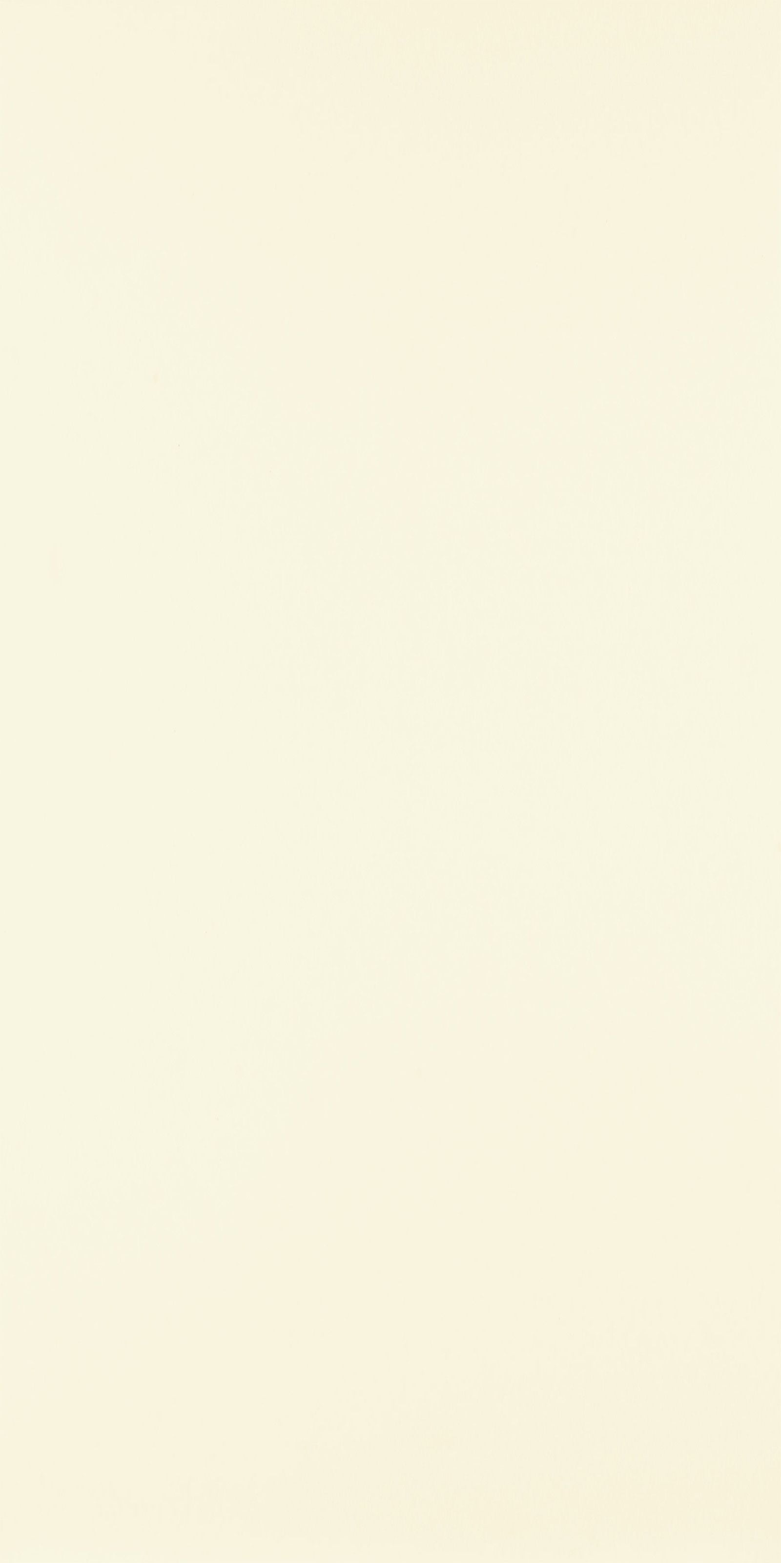 TINTE UNITE PUREWHITE