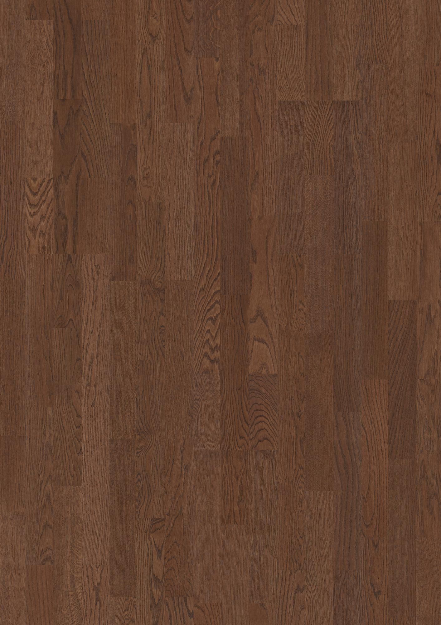 TOLDA DI NAVE OAK OREGON