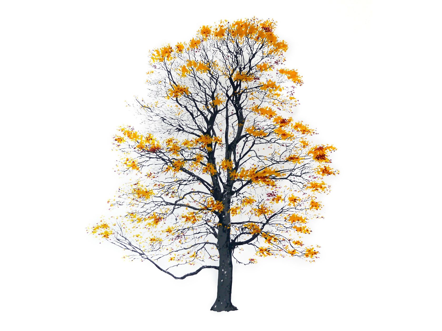 TREE AUTUMN