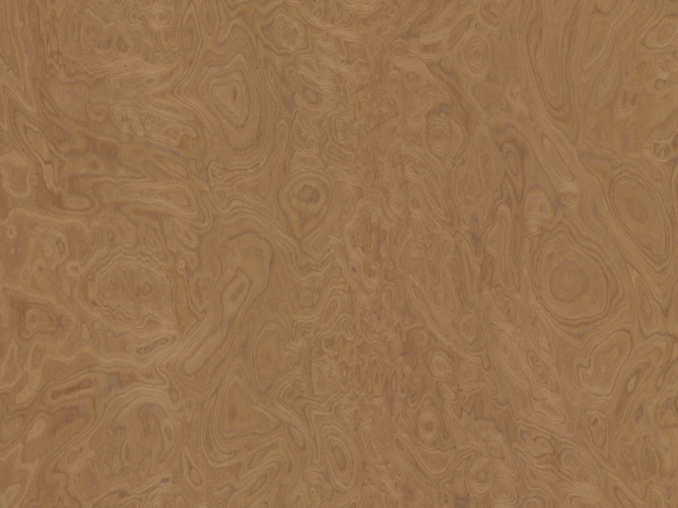 ALPI WALNUT BURL