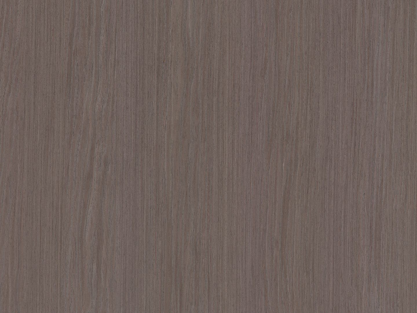 ALPI TITANIUM OAK