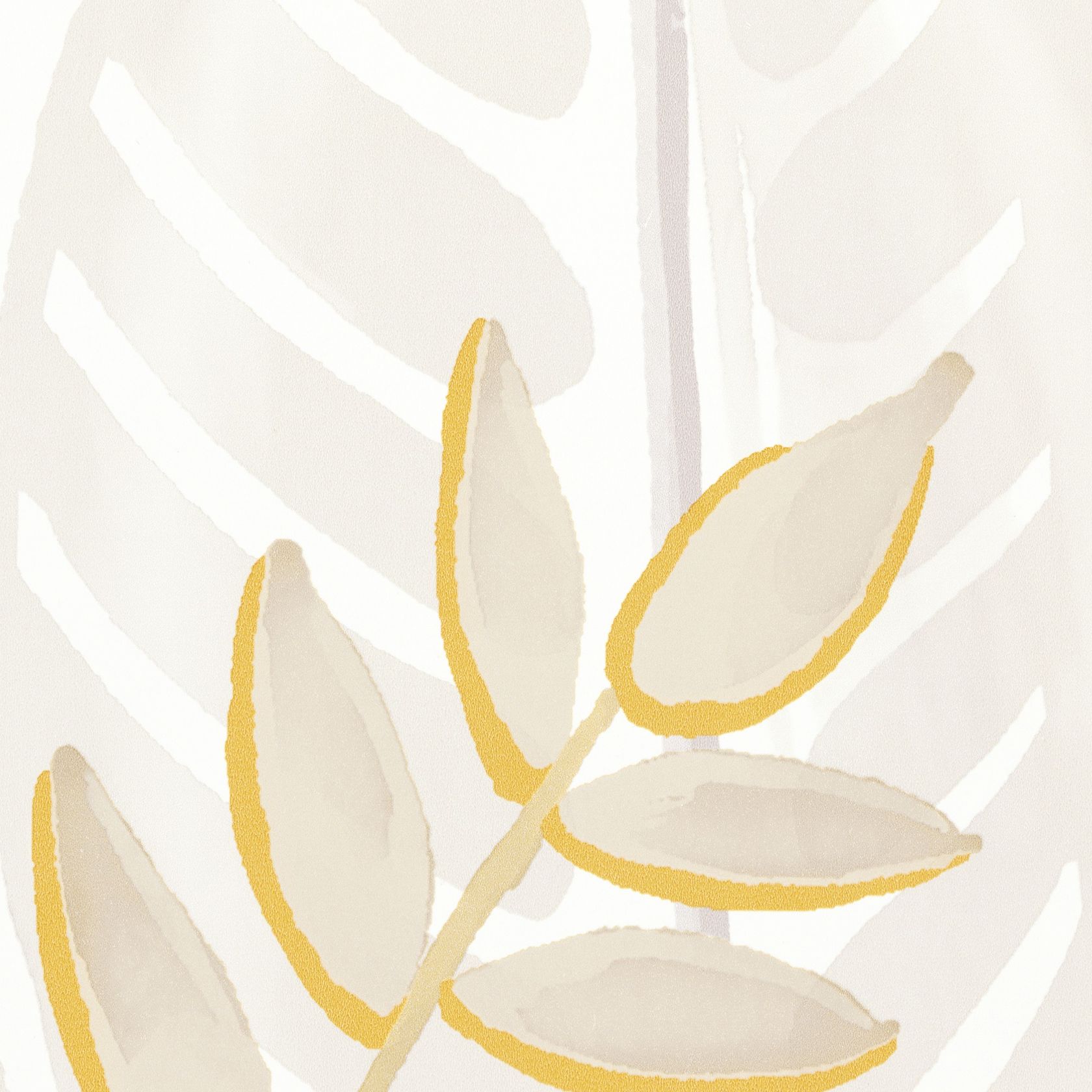 ALOCASIA