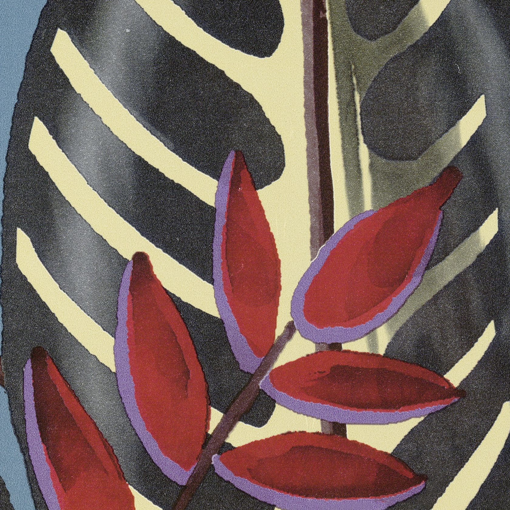 ALOCASIA
