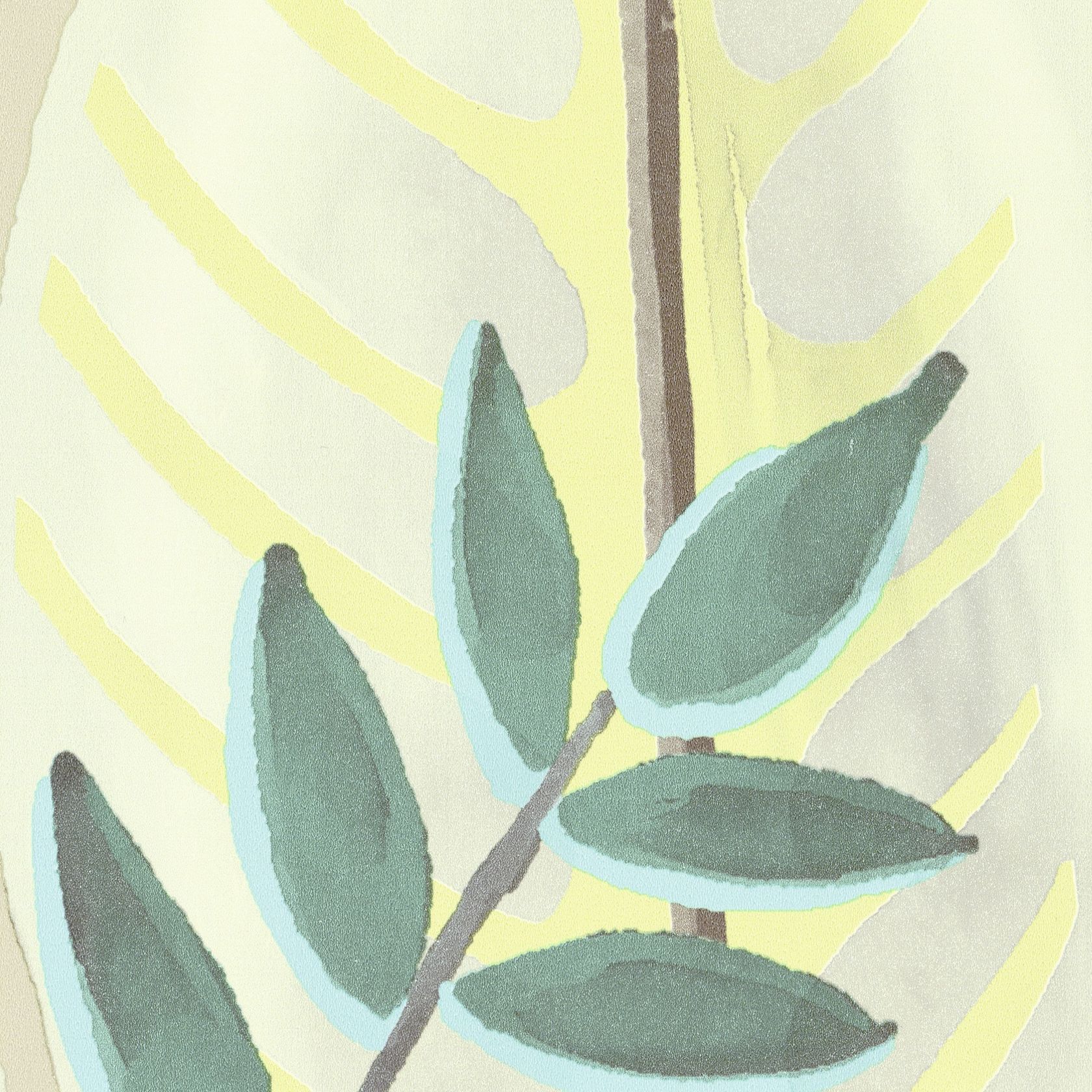 ALOCASIA