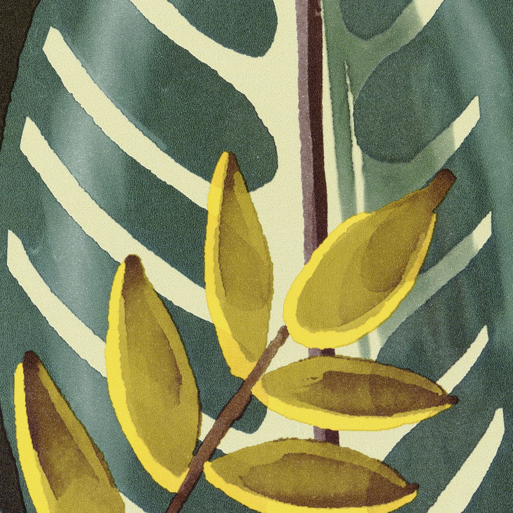 ALOCASIA