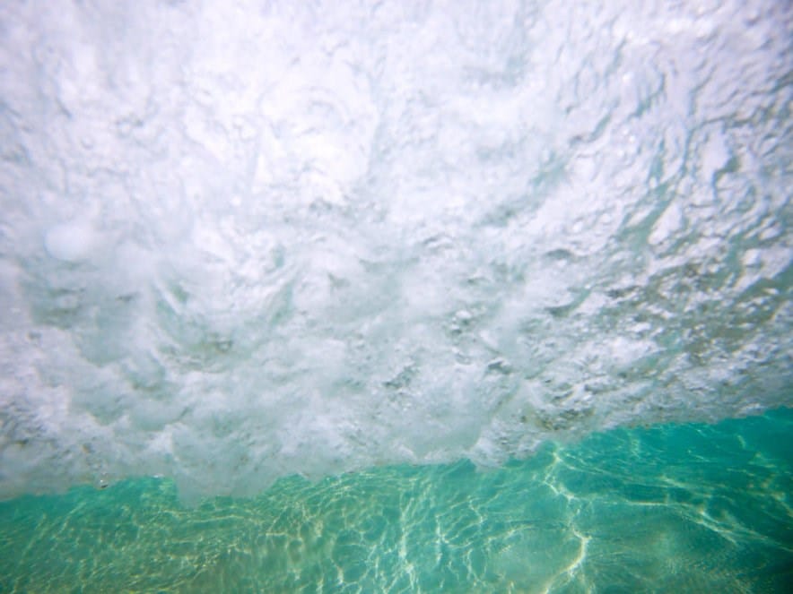 AQUATIC