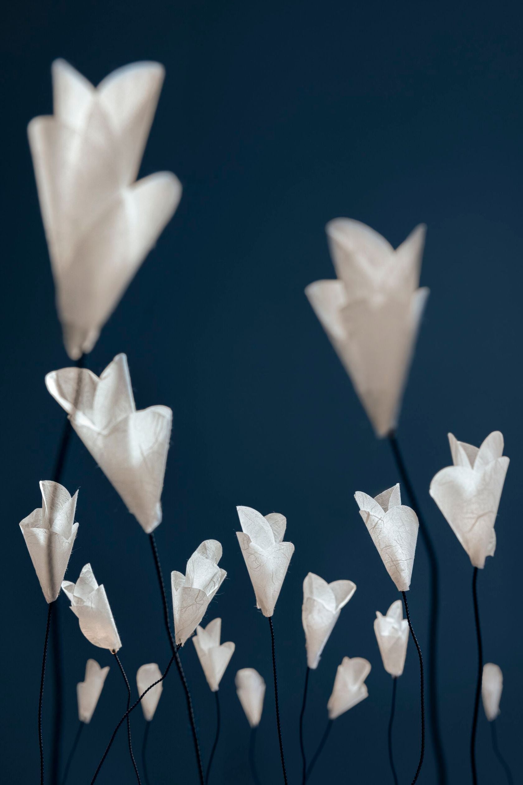 FOR YOU