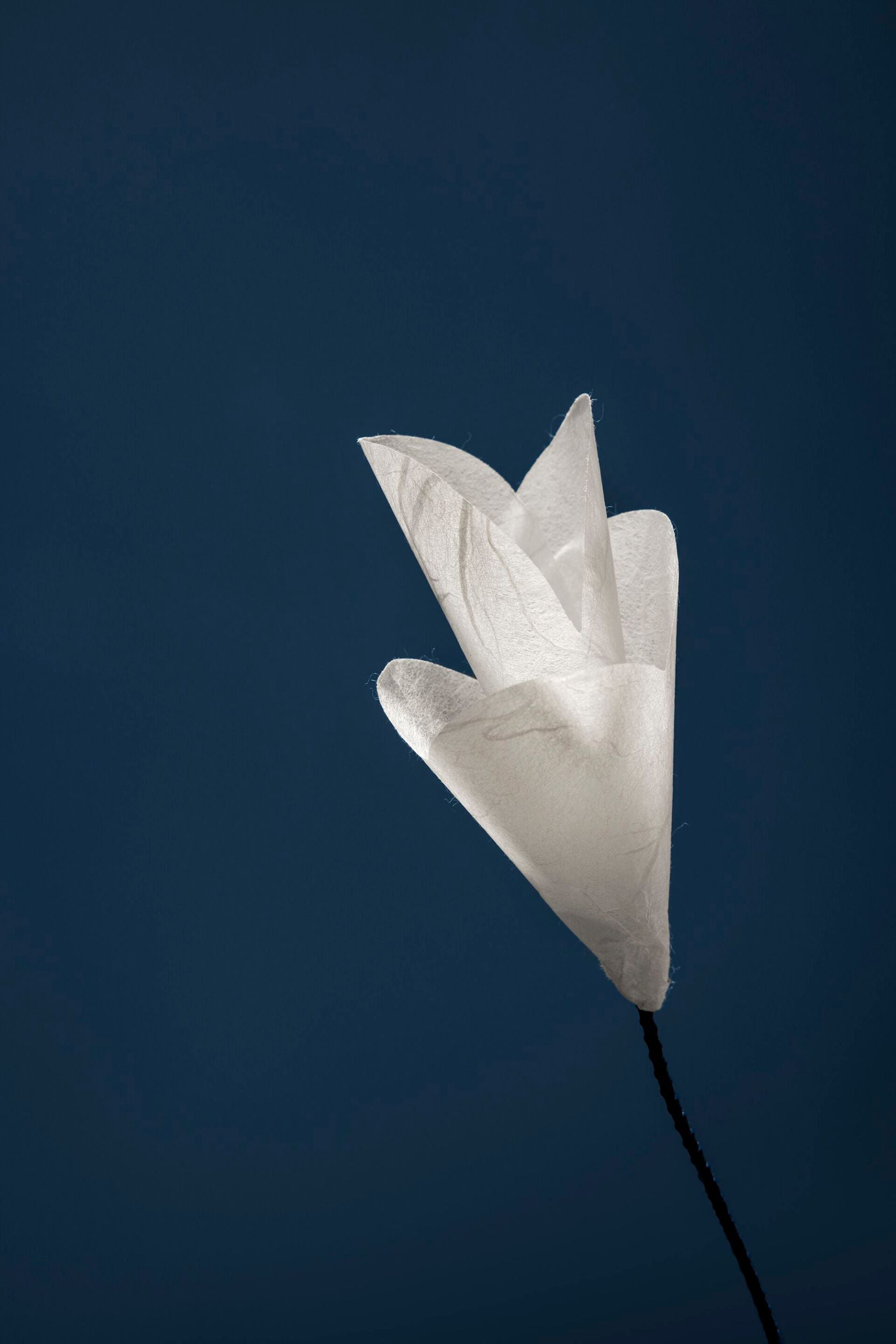 FOR YOU