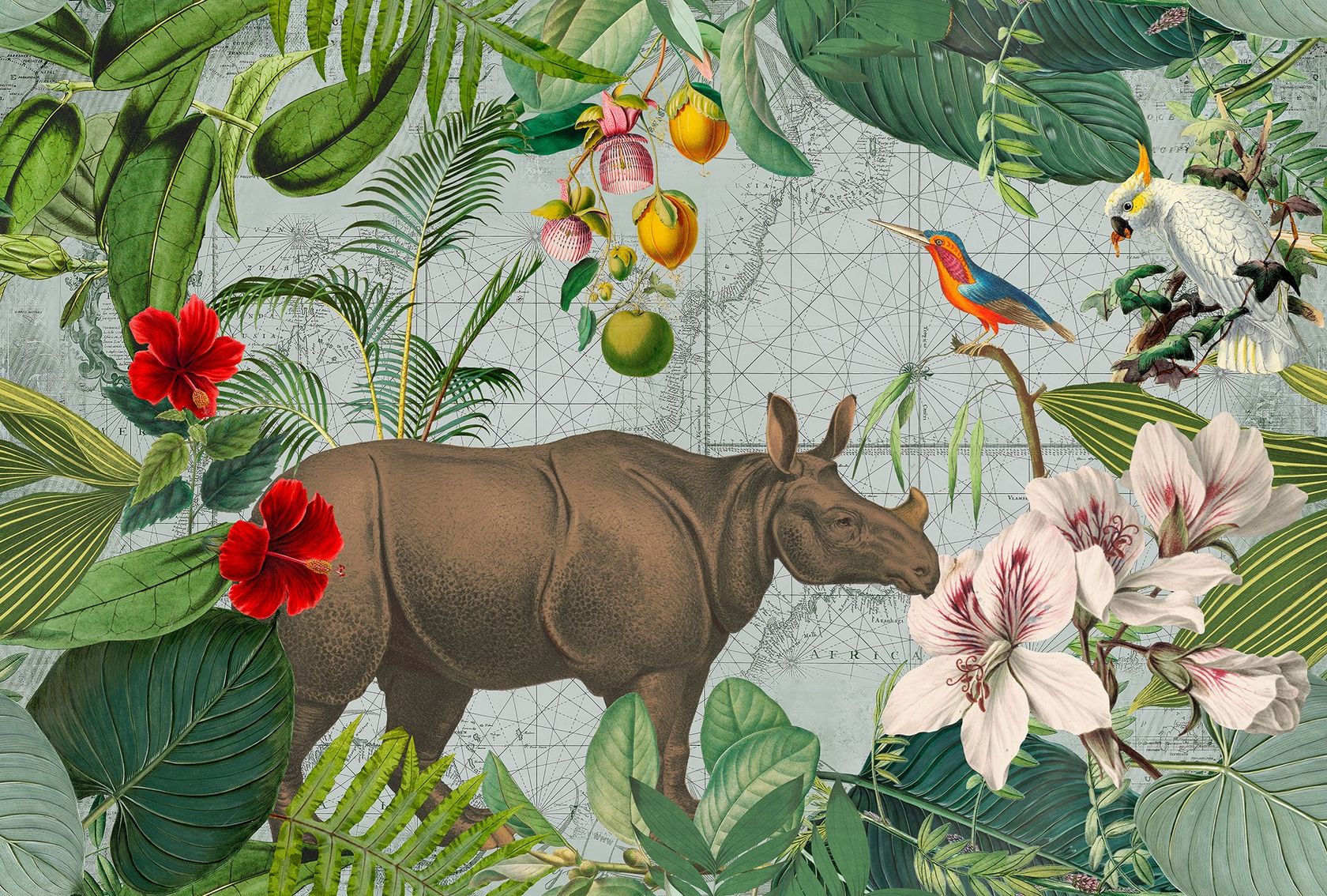 JUNGLE RHINO