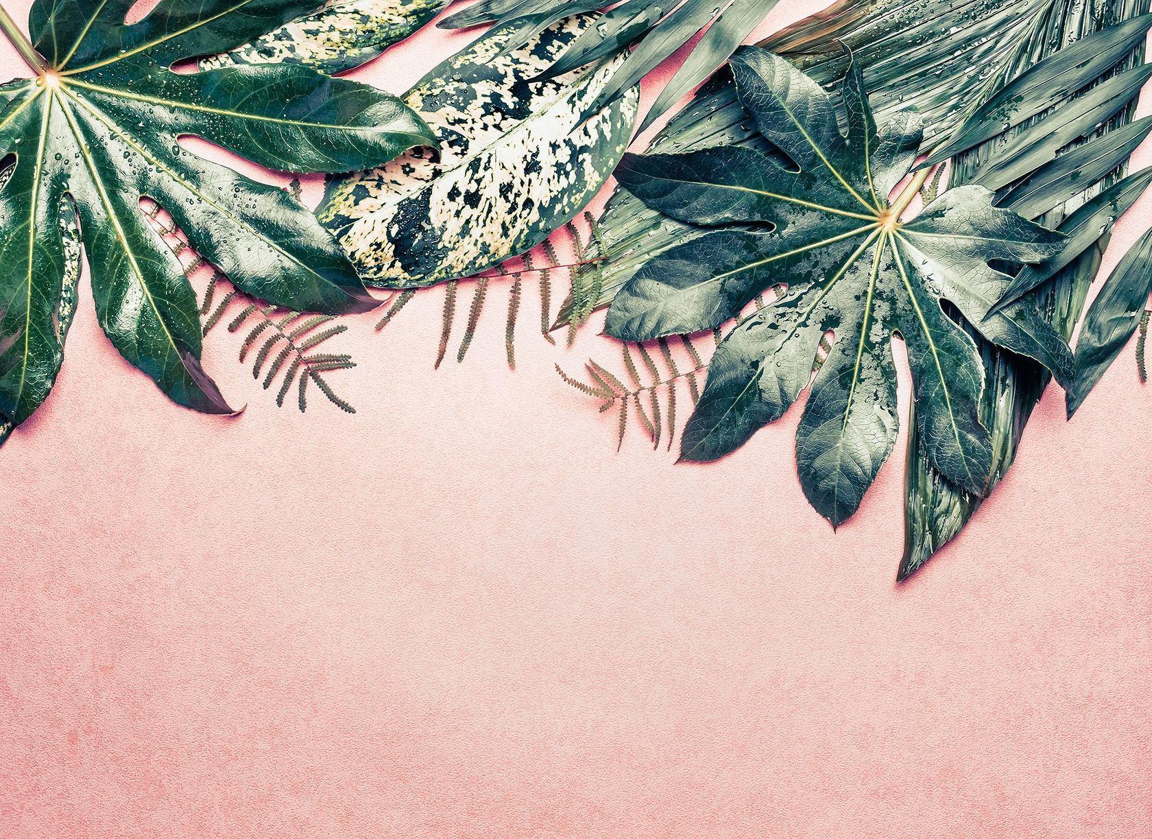 LEAVES VARIETY
