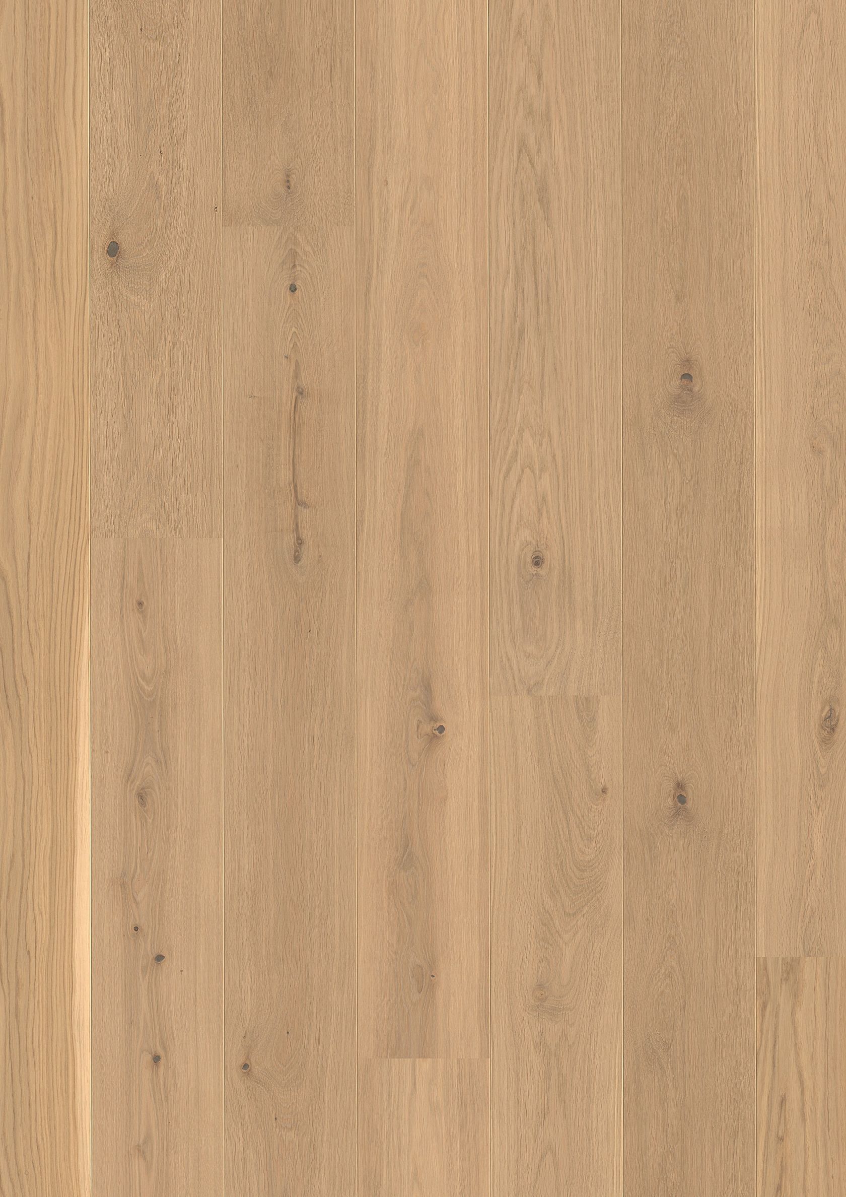 PLANCIA OAK ANIMOSO LIVE PURE