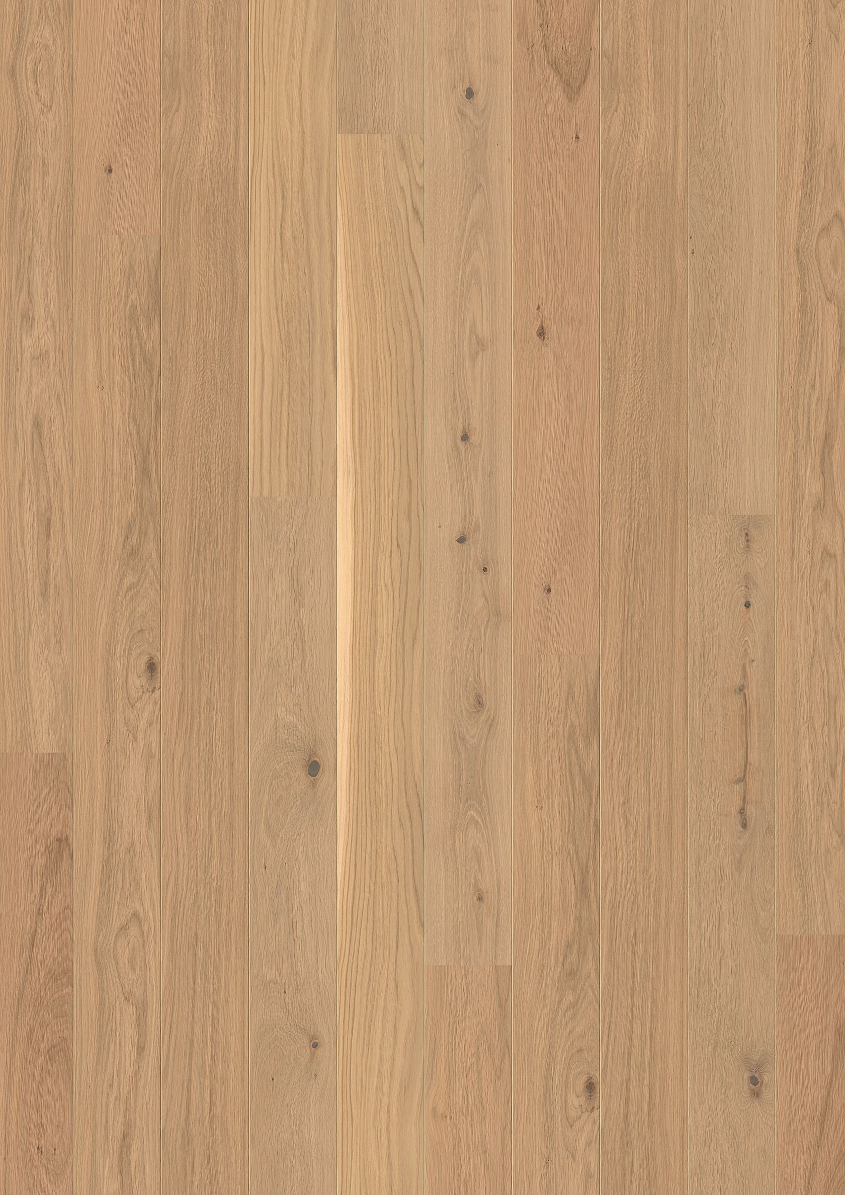 PLANCIA OAK ANIMOSO LIVE PURE