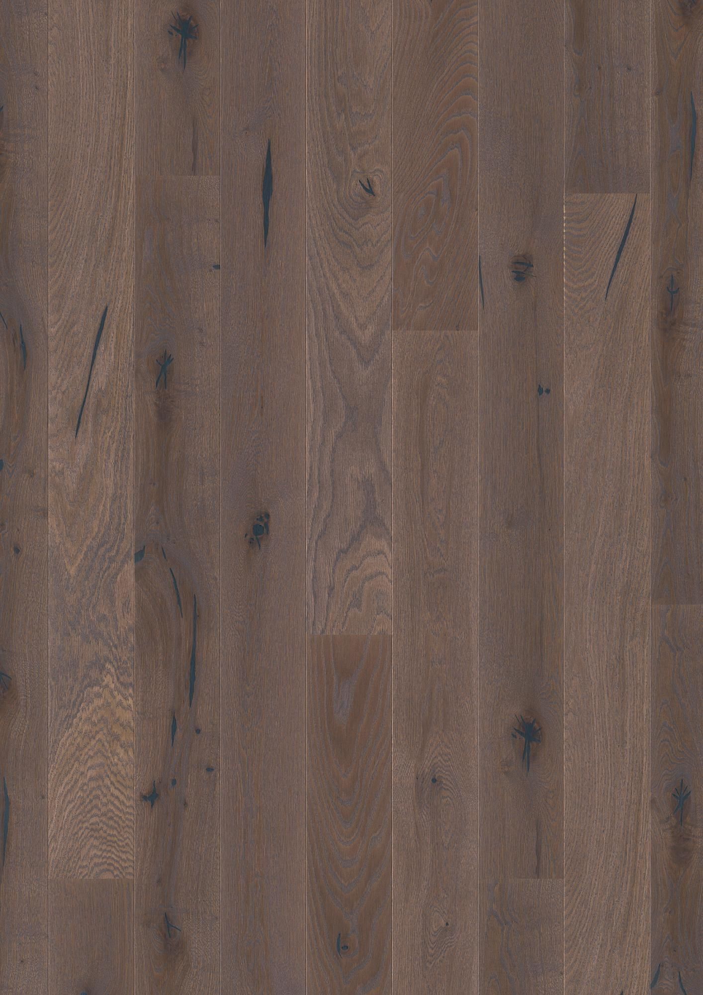 PLANCIA OAK ELEPHANT GREY