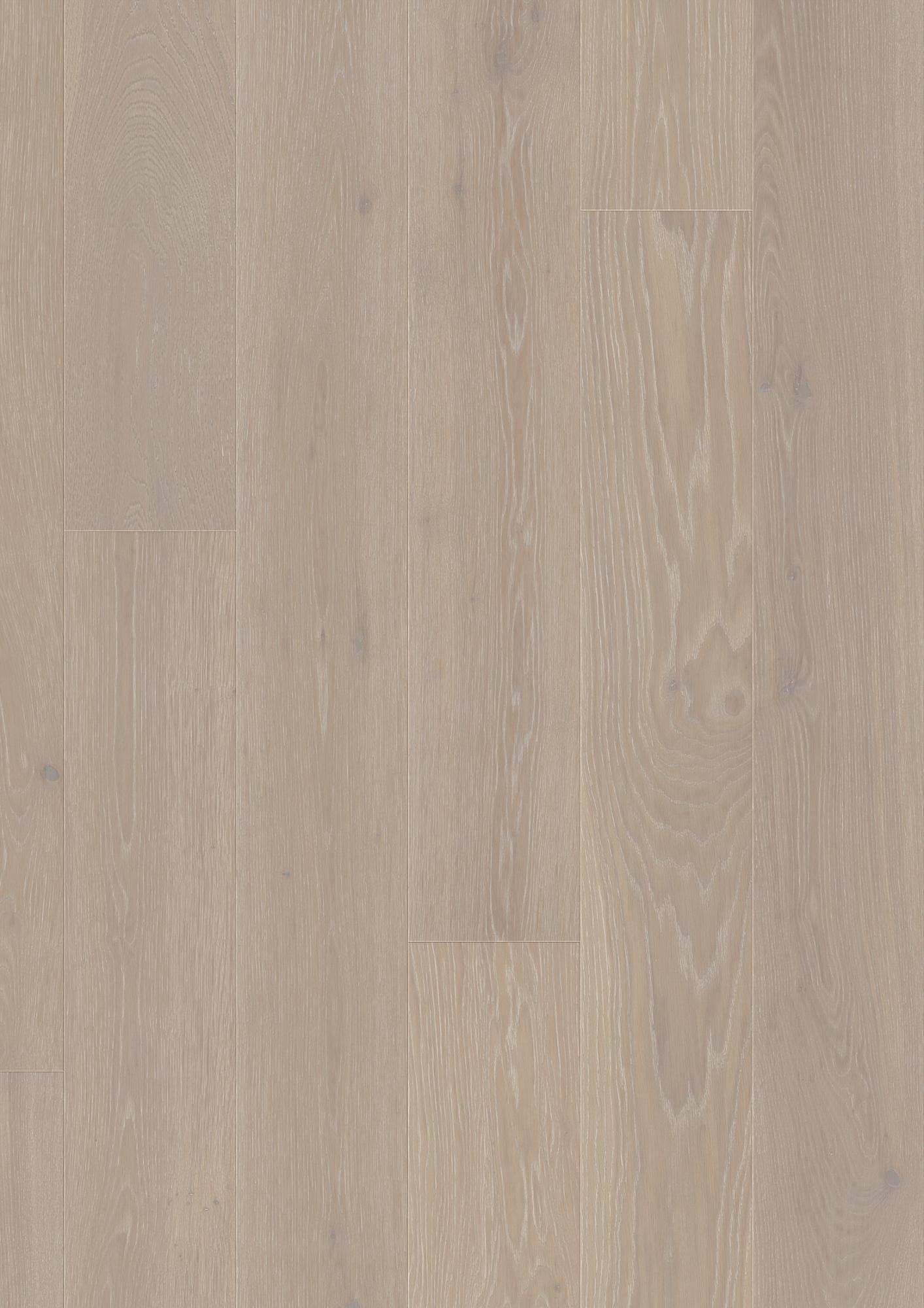 PLANCIA OAK GREY HARMONY