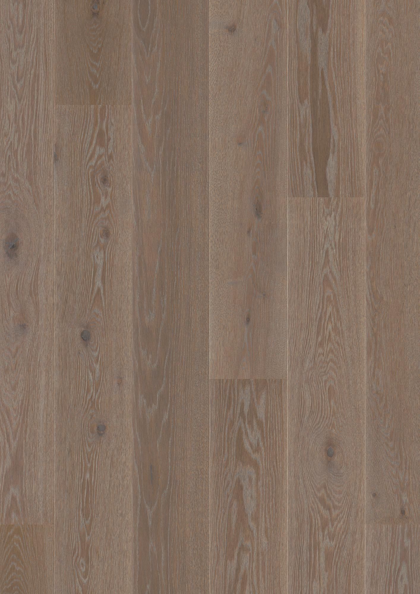 PLANCIA OAK INDIA GREY