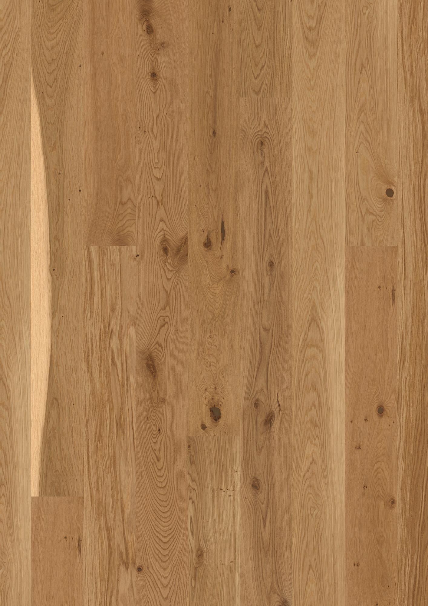 PLANCIA OAK VIVO