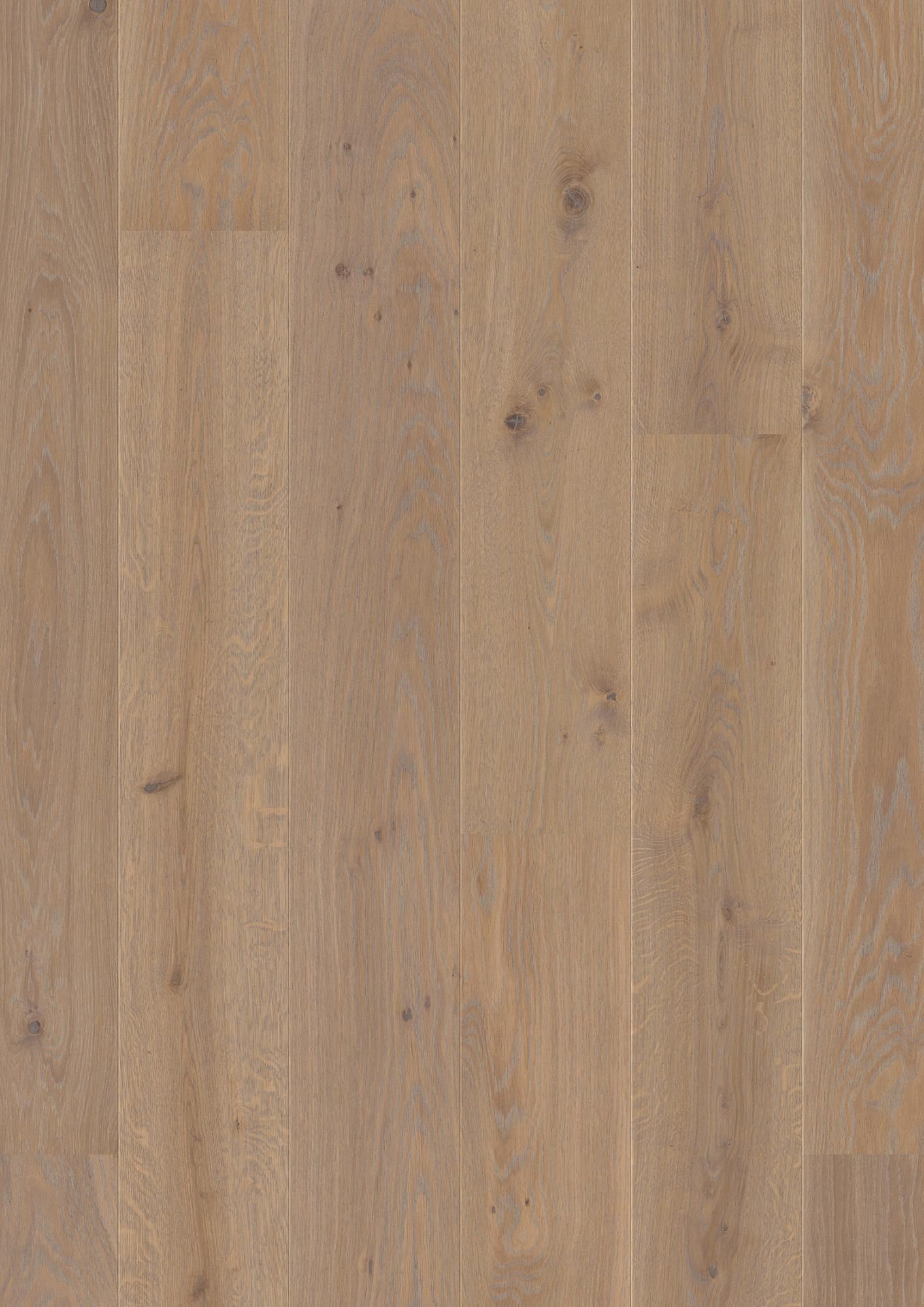 PLANCIA OAK WARM GREY