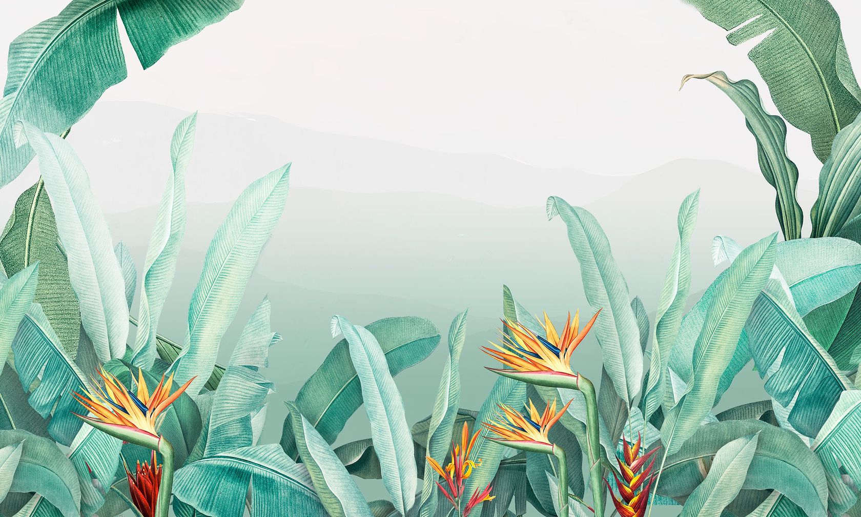 RAIN FOREST COLOR