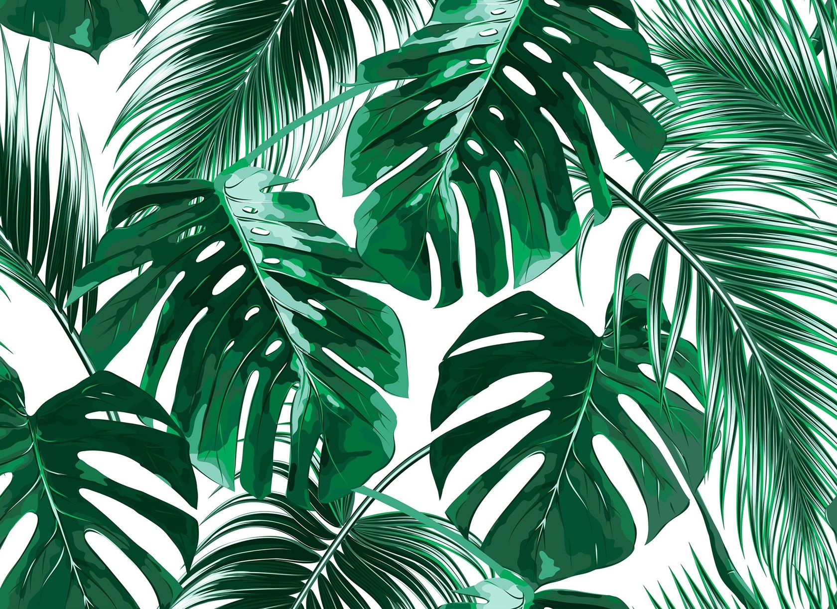 PALM LEAVES