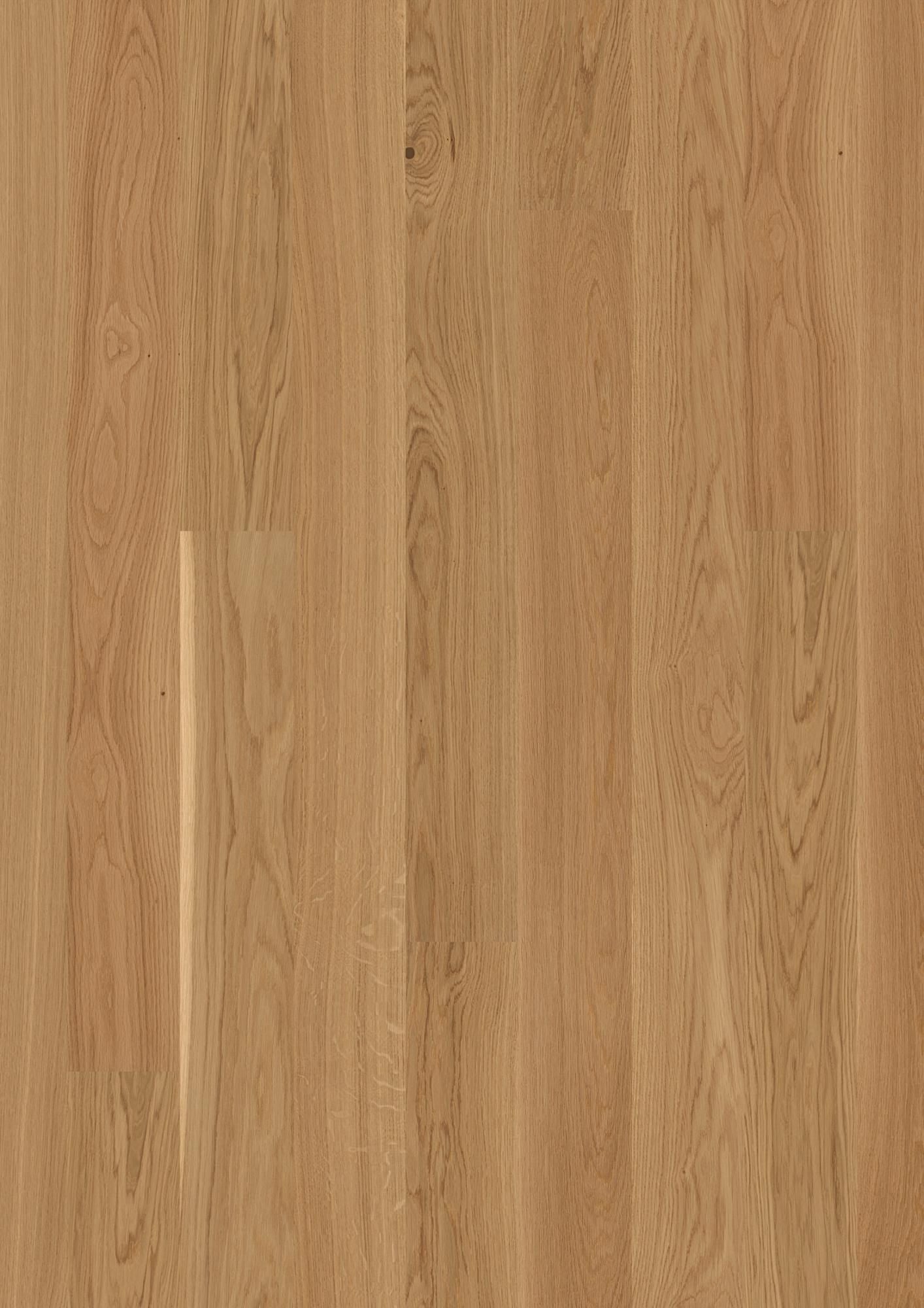 PLANCIA OAK ANDANTE