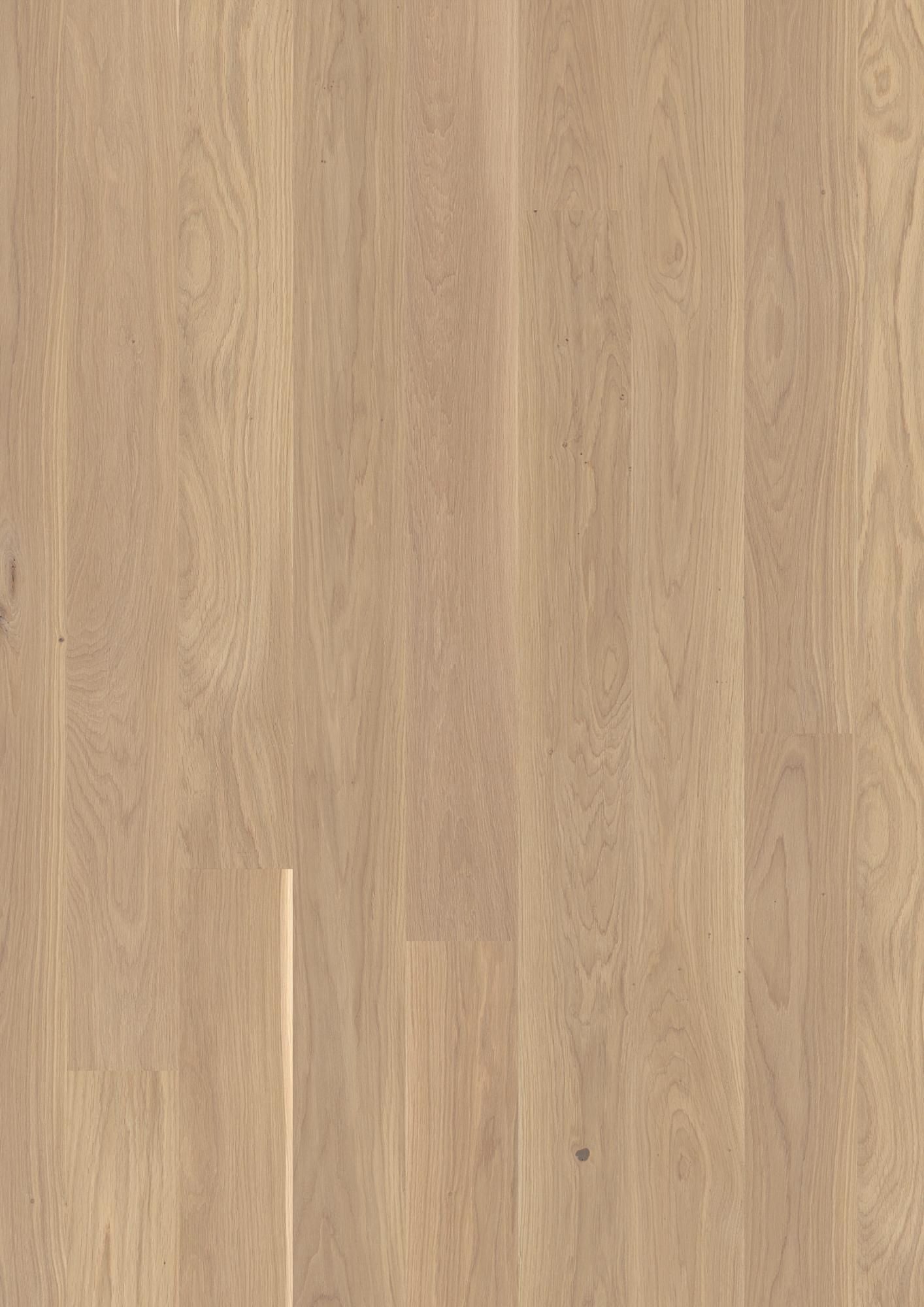 PLANCIA OAK ANDANTE WHITE