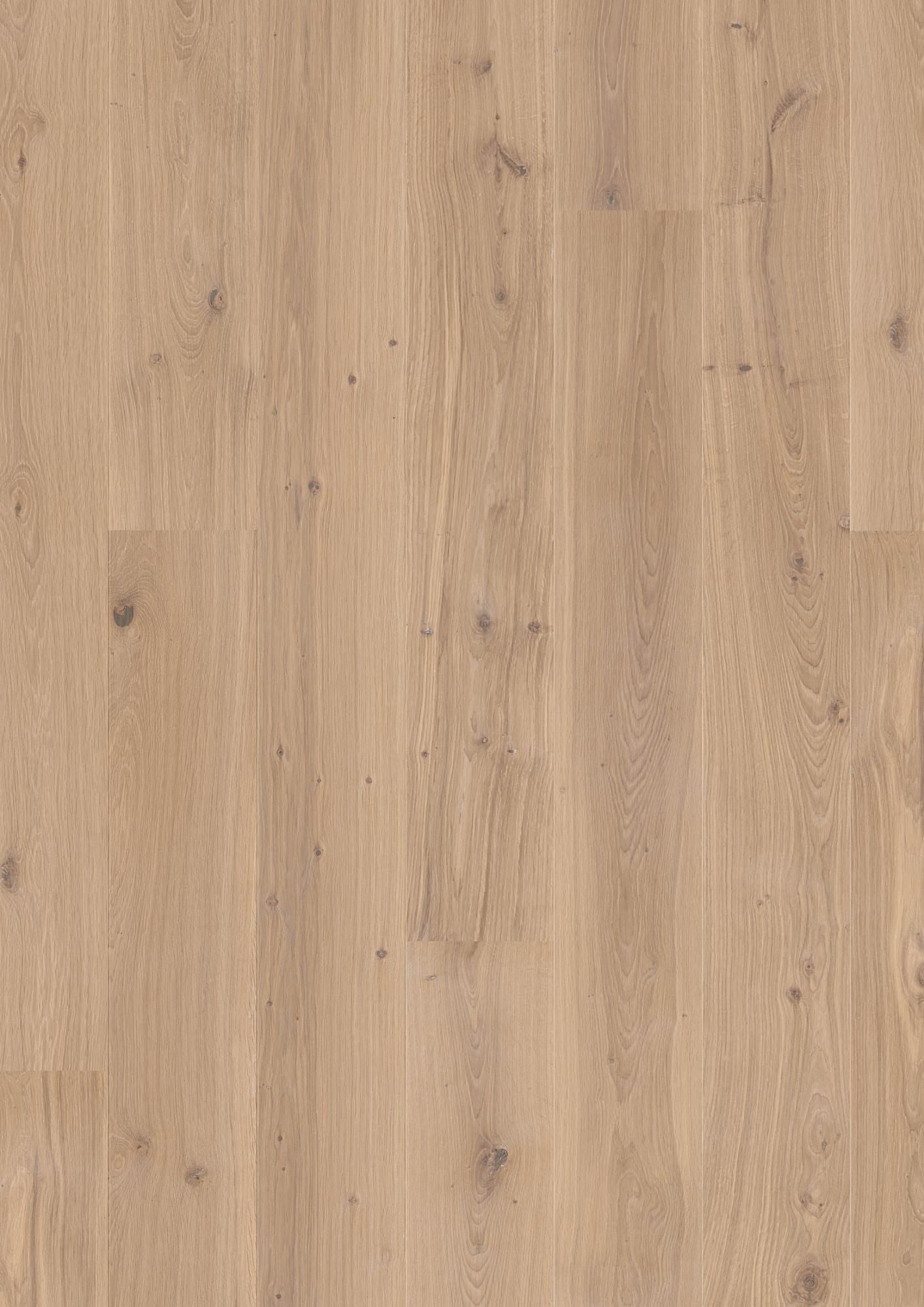 PLANCIA OAK ANIMOSO WHITE