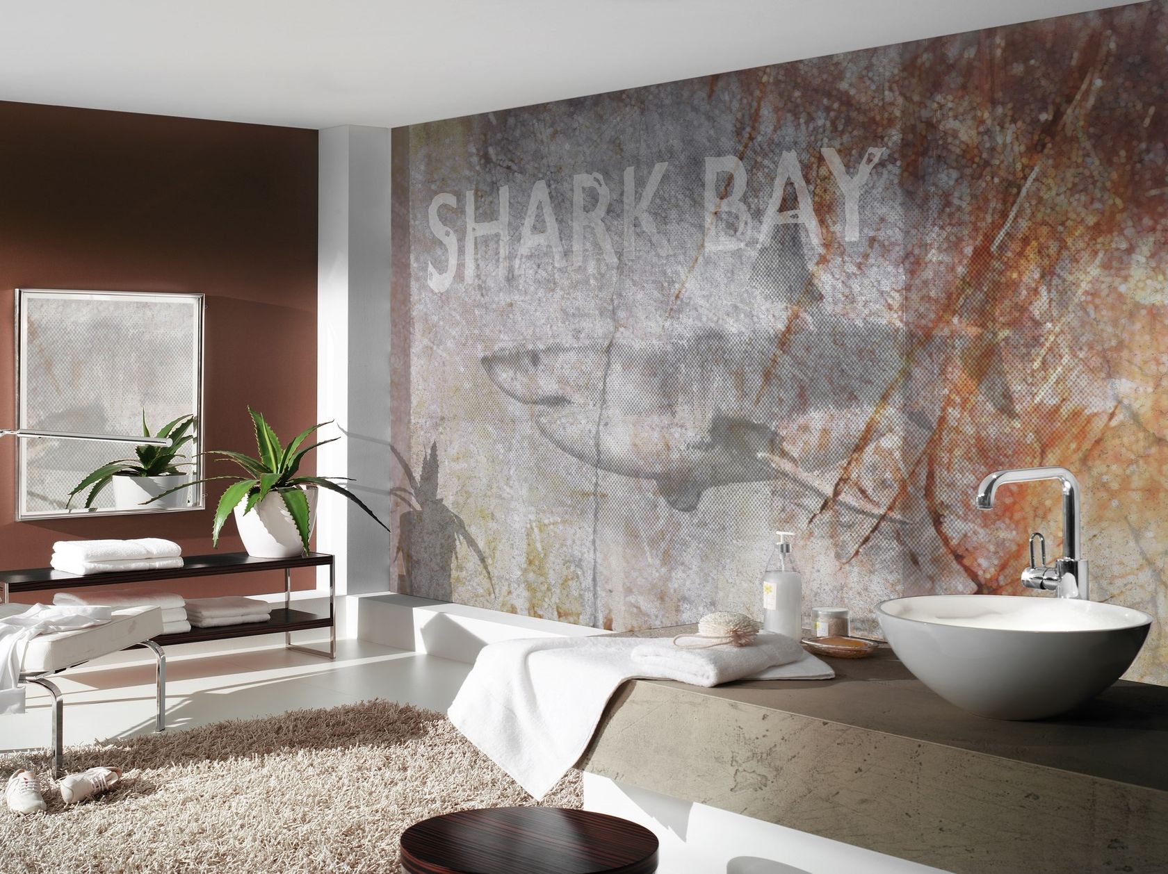 SHARK BAY