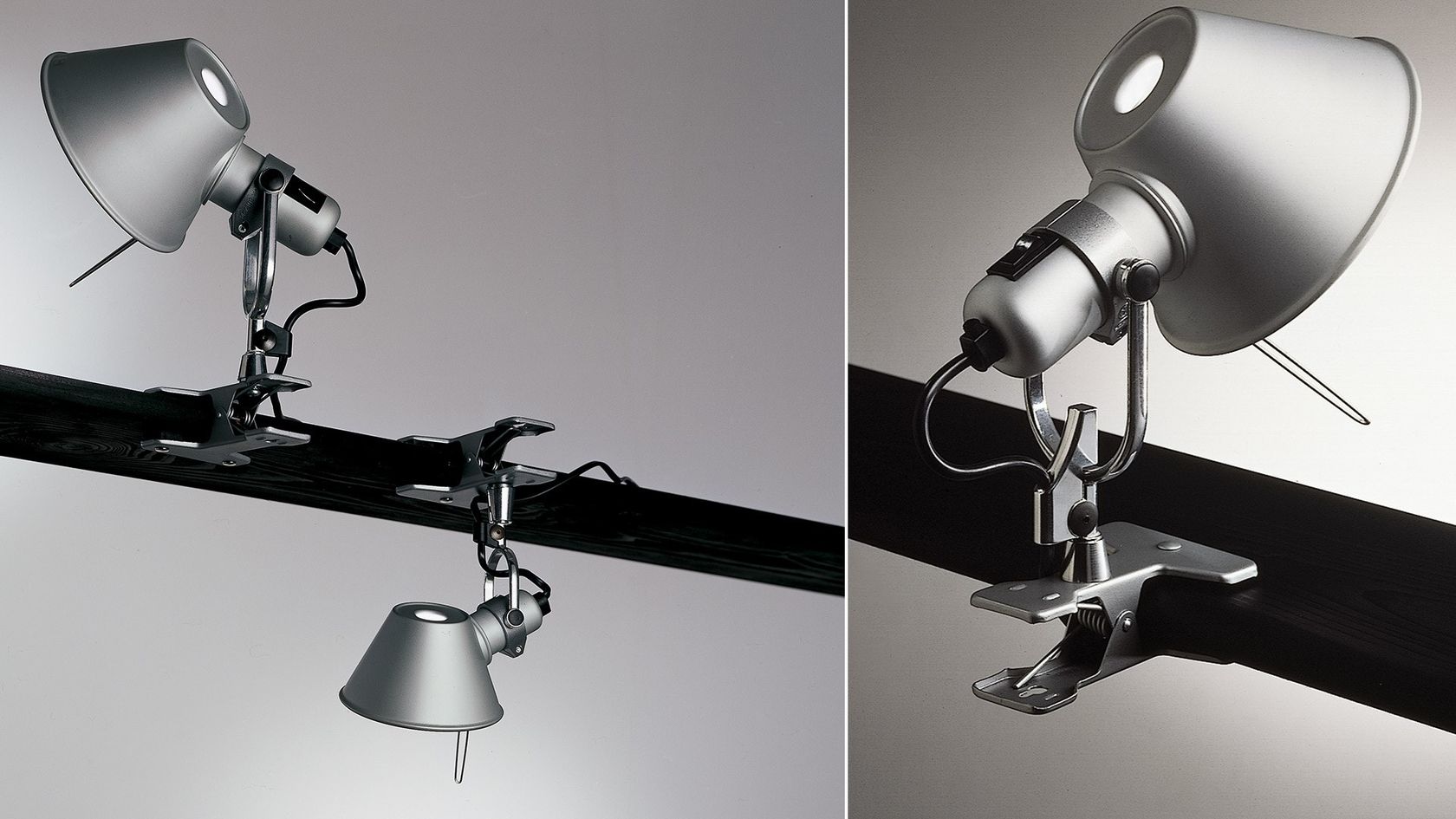 TOLOMEO PINZA