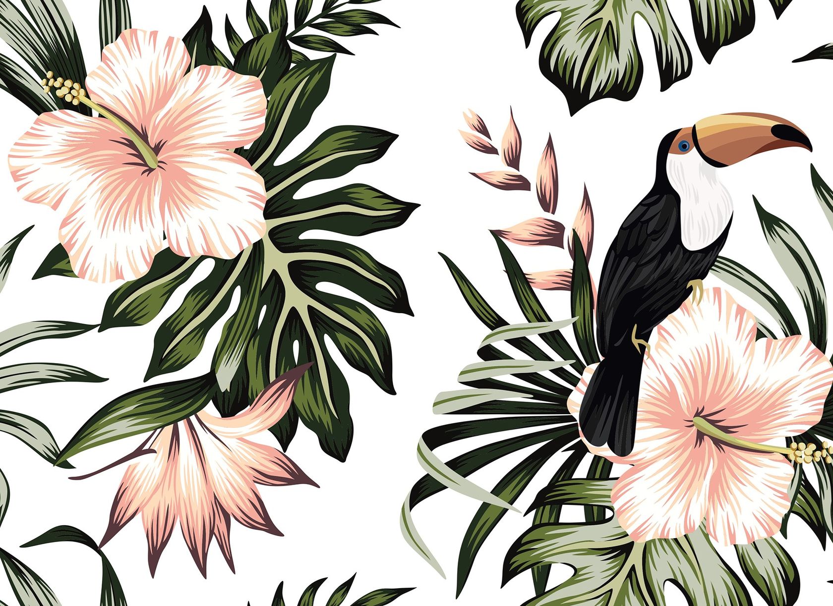 TOUCAN