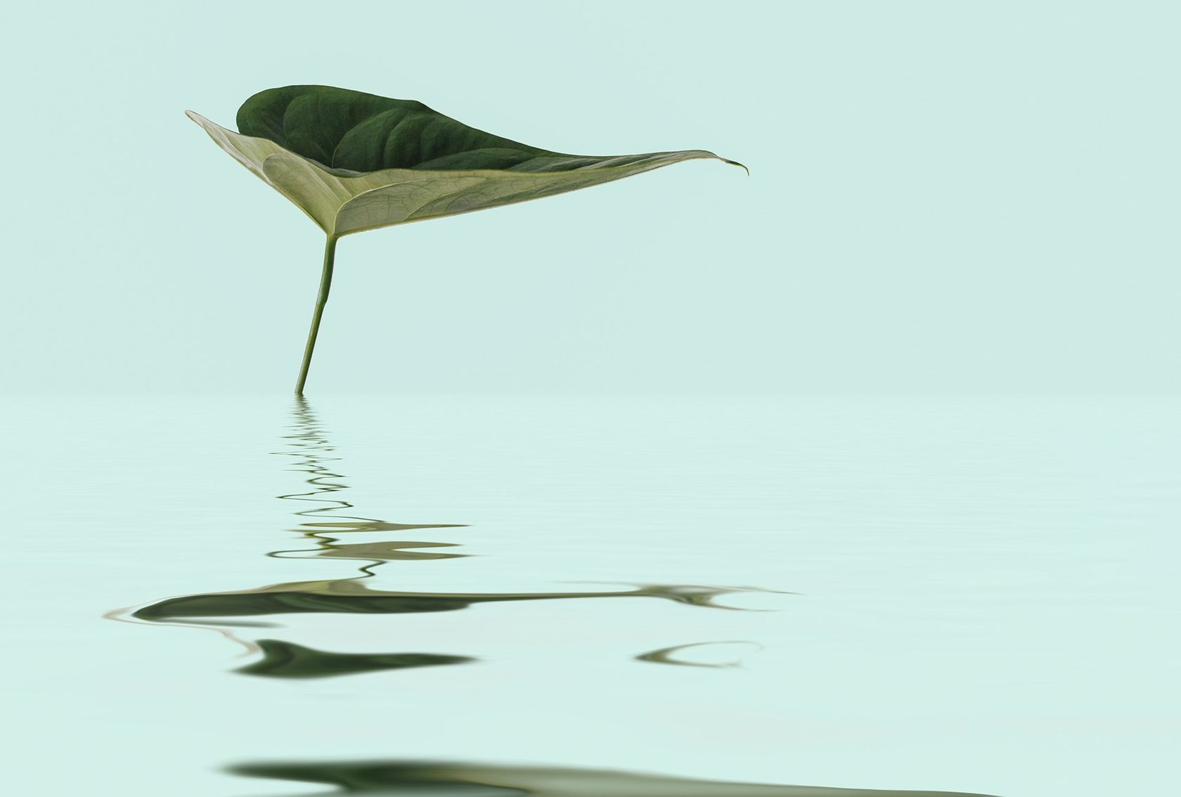 ZEN WATER LEAF