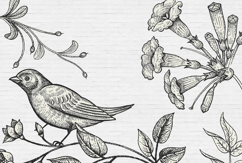 BIRDY