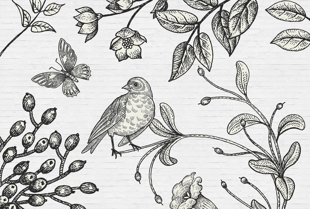 BIRDY