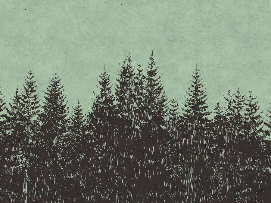BLACK FOREST