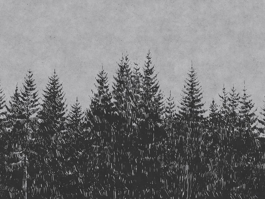 BLACK FOREST