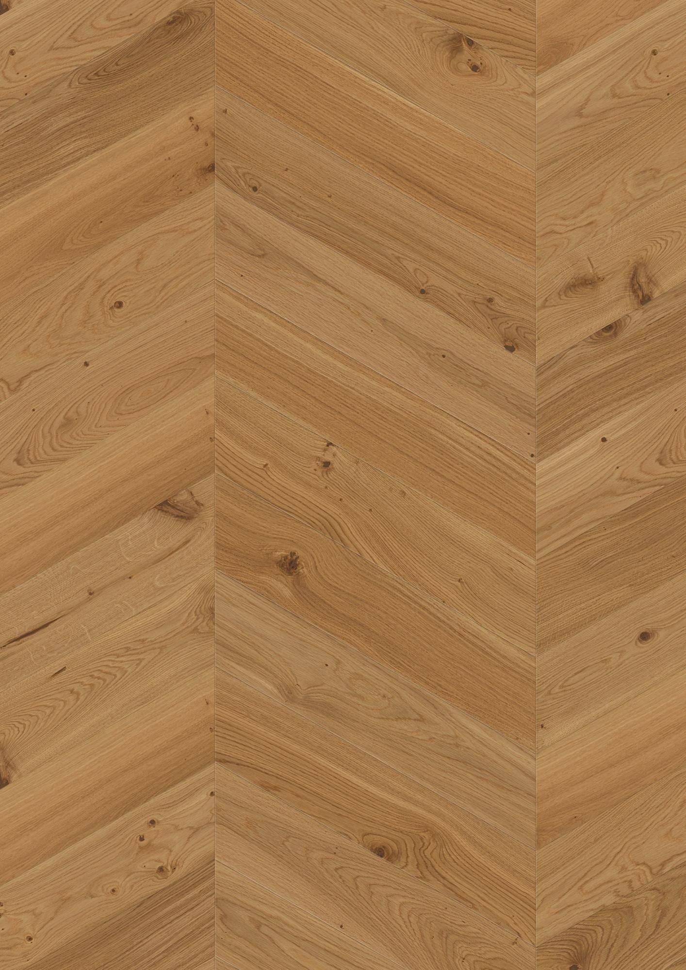 CHEVRON OAK ANIMOSO