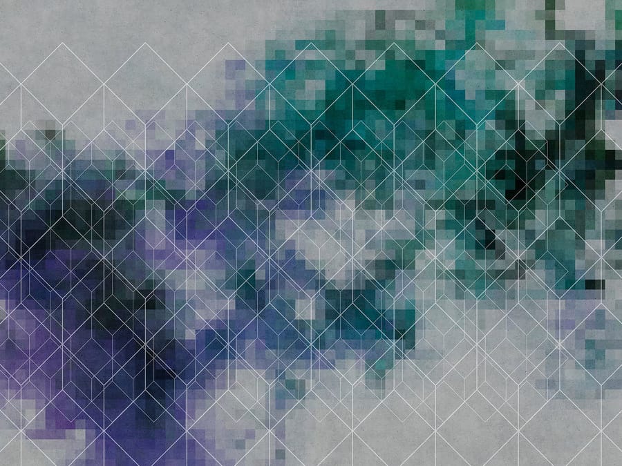 COLOUR NETWORK