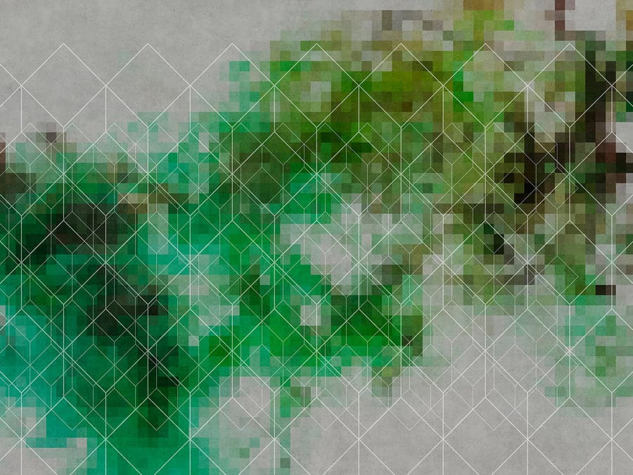 COLOUR NETWORK