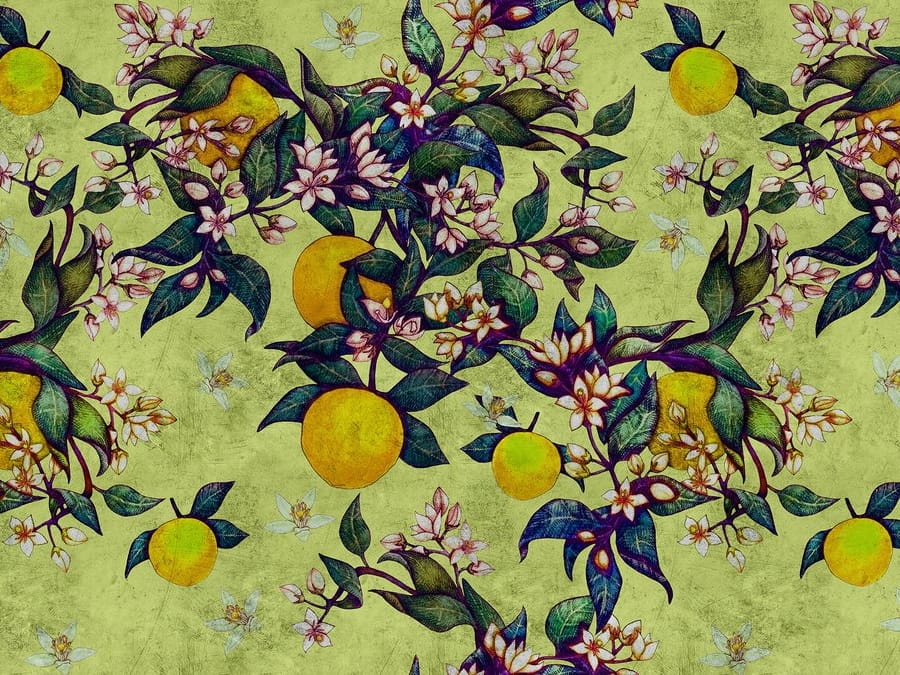 GRAPEFRUIT TREE