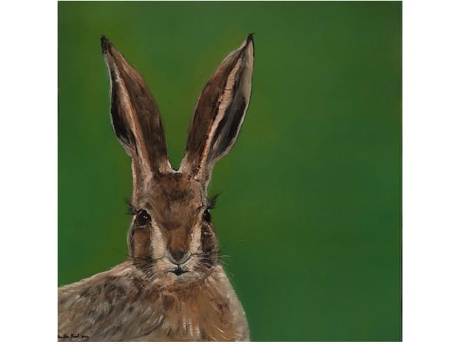 HARE