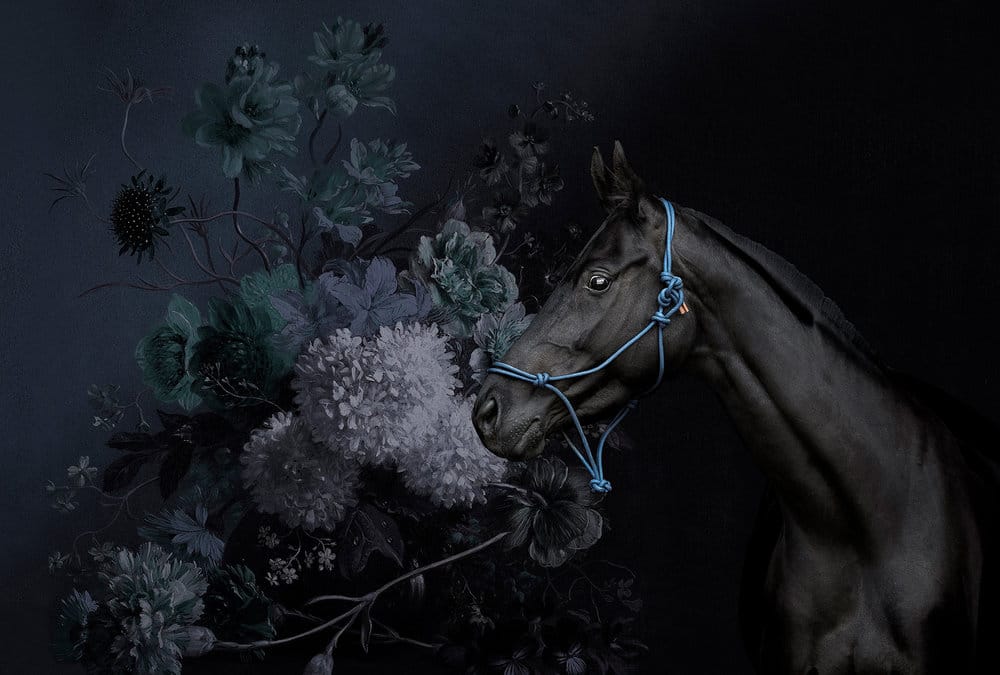 HORSES