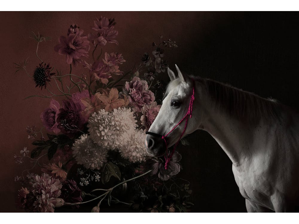 HORSES